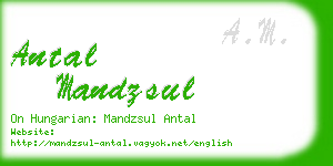 antal mandzsul business card